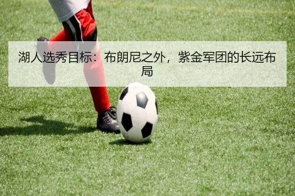 湖人选秀目标：布朗尼之外，紫金军团的长远布局